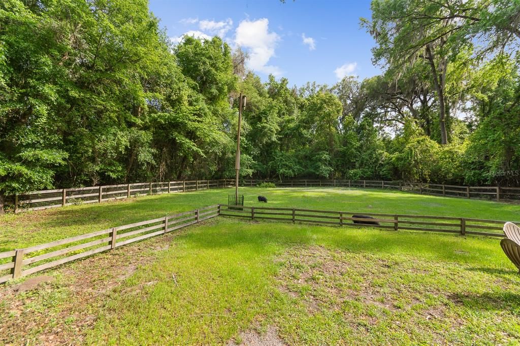 Rear fenced pasture
