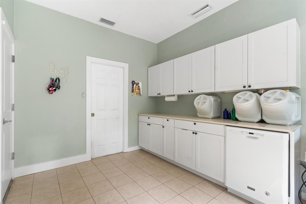 Large storage room with cabinetry, second dishwasher and solid surface counter tops