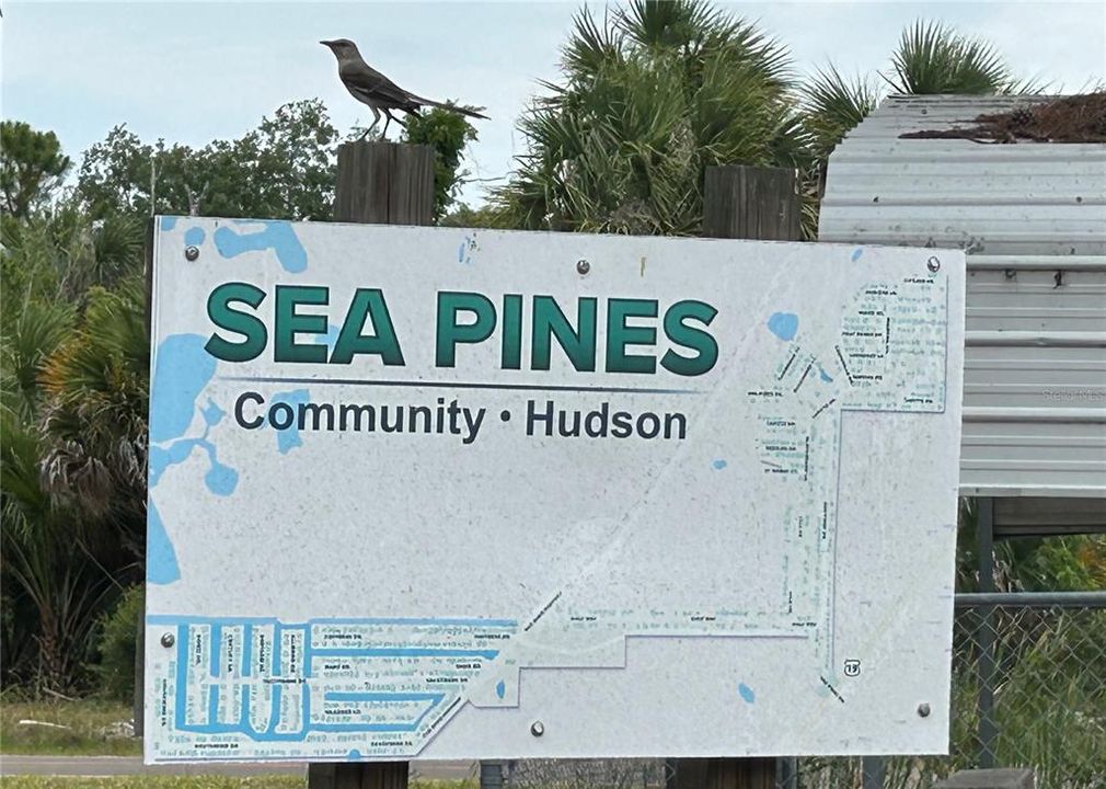 Sea Pines Community