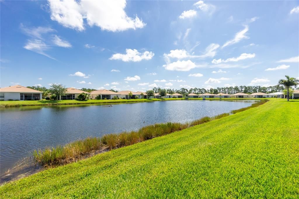 Backyard lake view