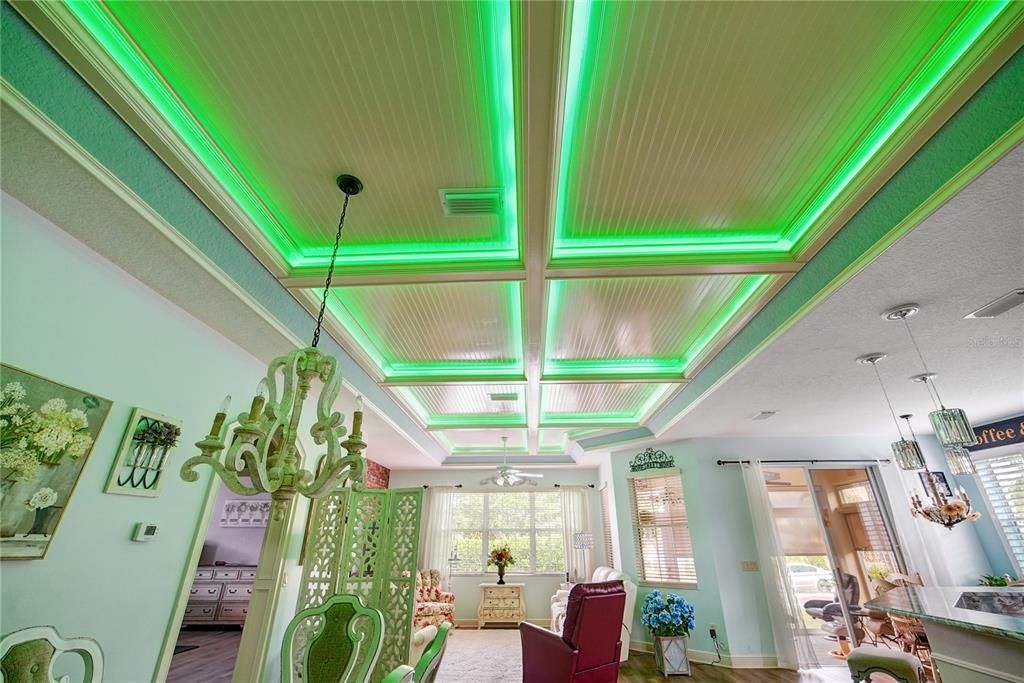 CEILING LIGHTING WITH SO MANY COLOR OPTIONS