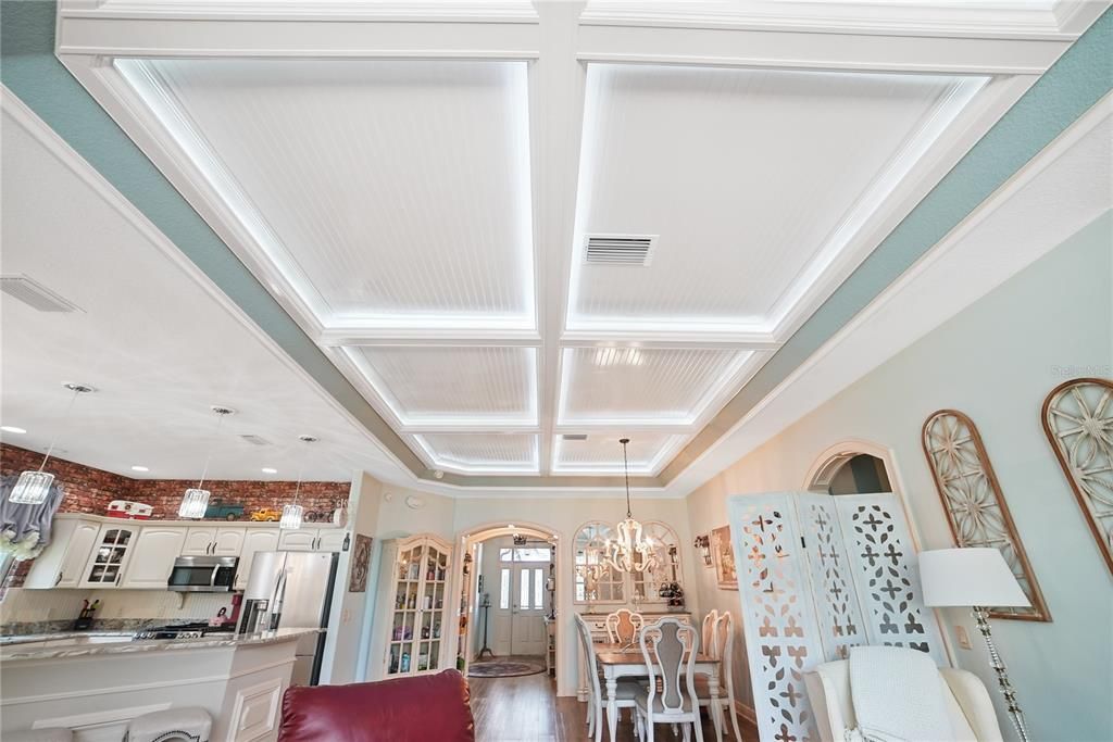 UNIQUE CEILING WITH REMOTE CONTROLLED LIGHTING