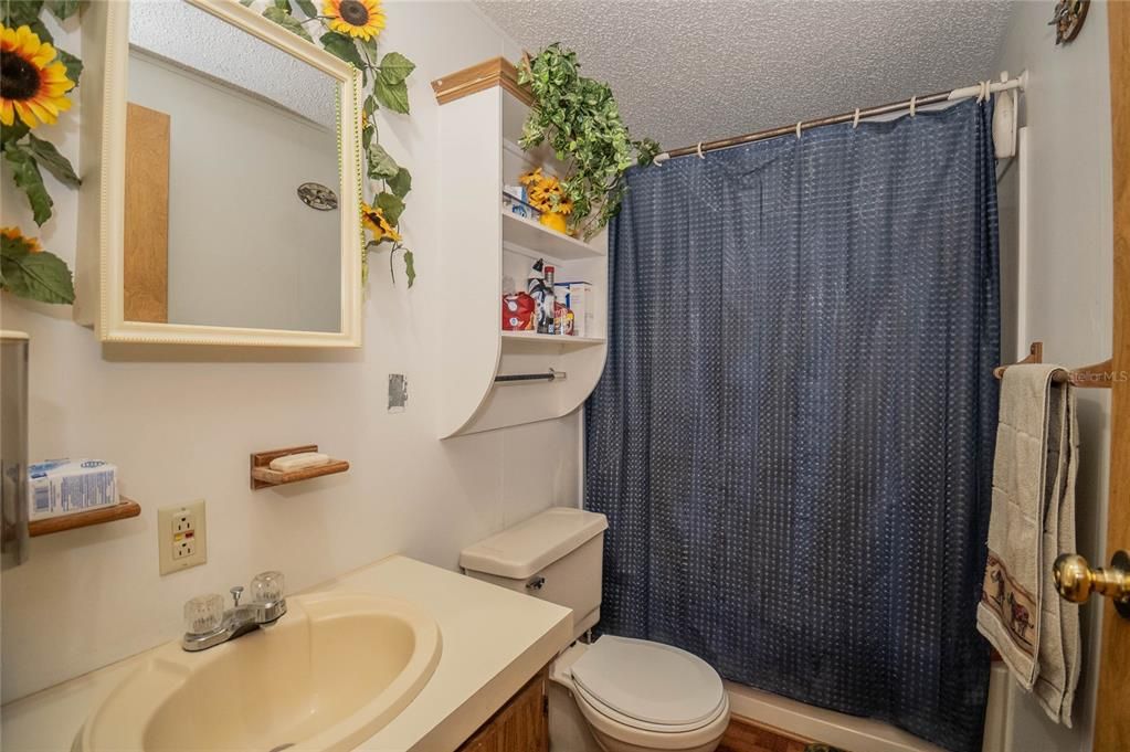 Hall Bath, shower with tub.