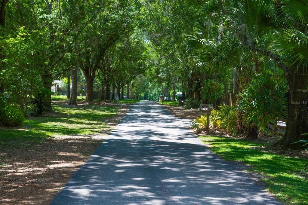 Canopied drive approaching the property.