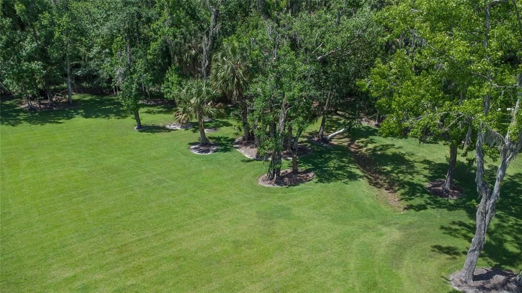 View of side yard.