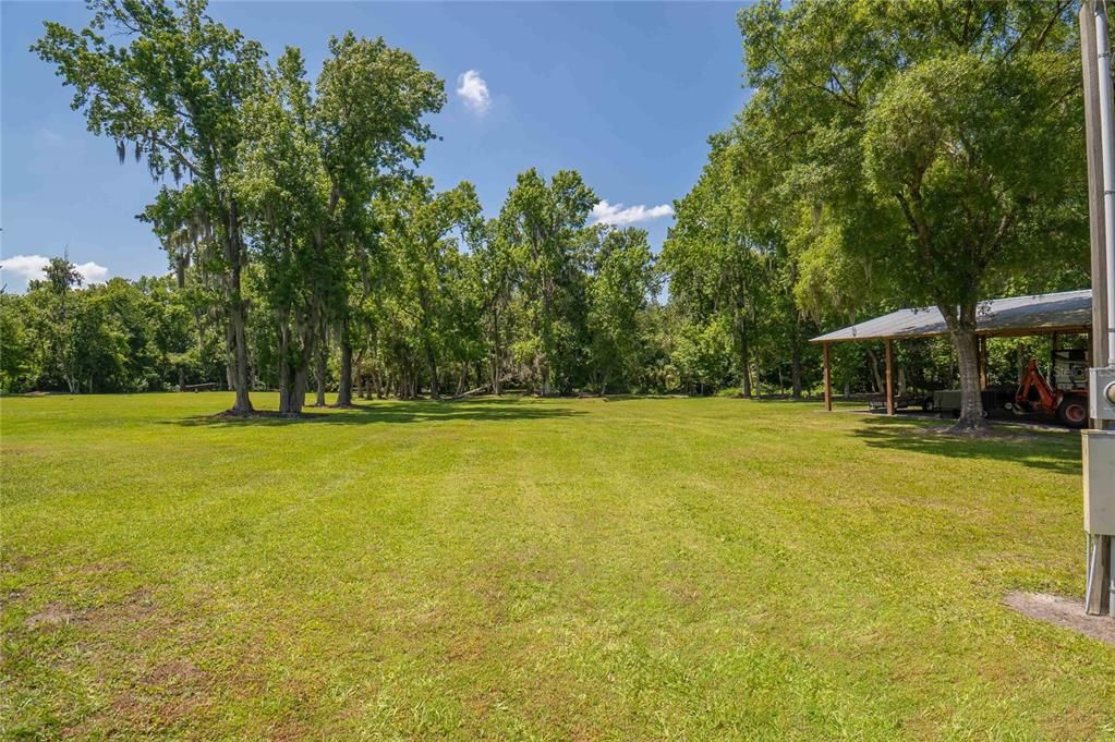 View to the backyard.