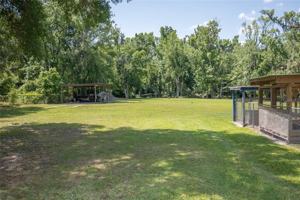 View out to the back yard.