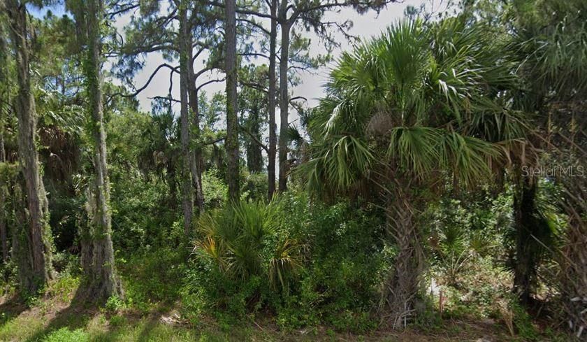 Active With Contract: $21,999 (0.23 acres)