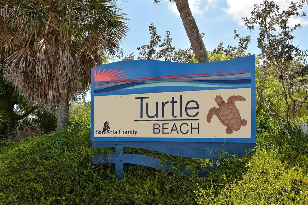 Turtle beach.