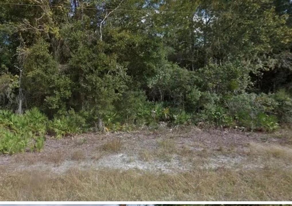 For Sale: $45,000 (0.28 acres)
