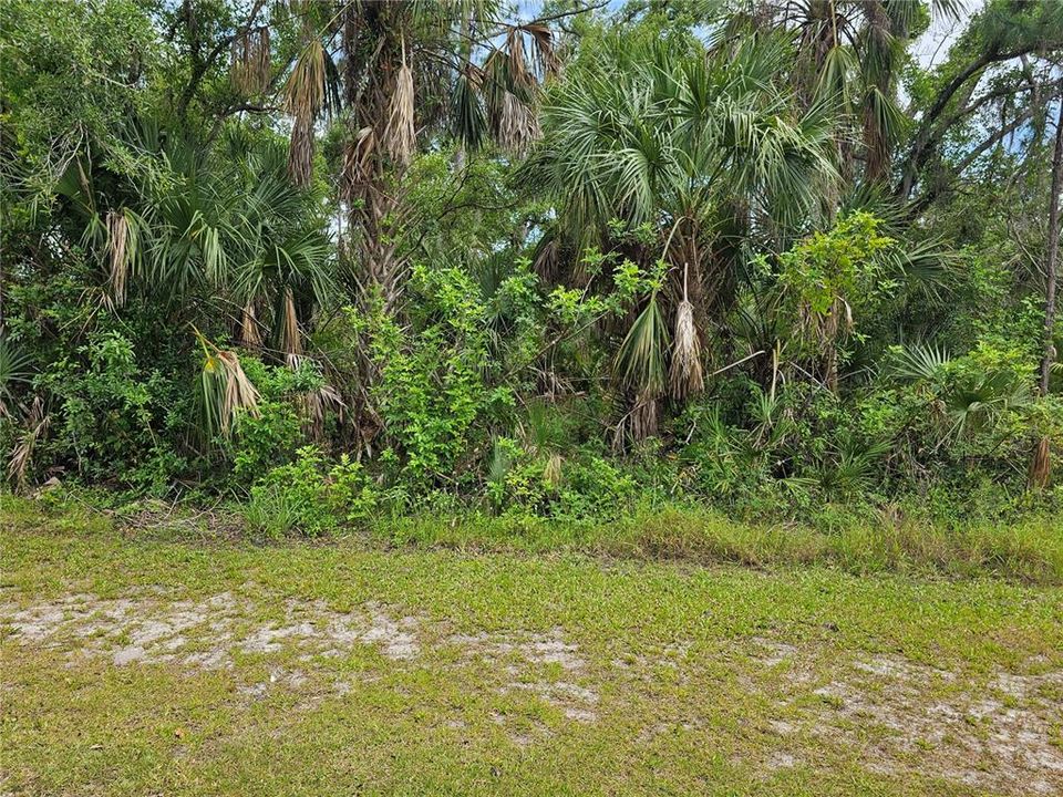For Sale: $30,000 (0.23 acres)