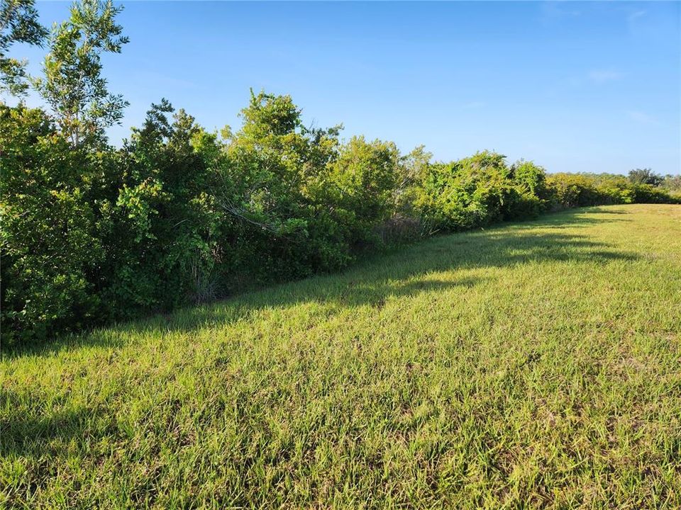 For Sale: $42,000 (0.18 acres)
