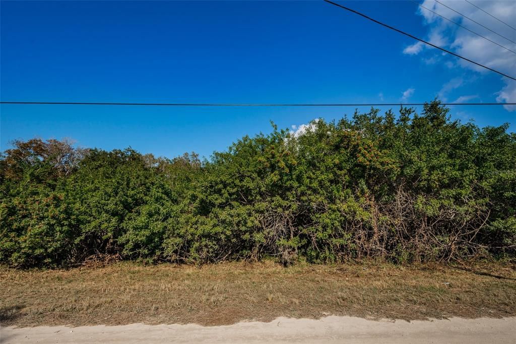 For Sale: $50,000 (0.26 acres)
