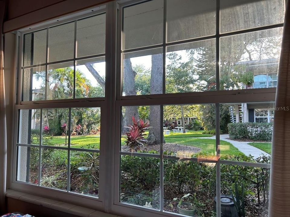View of peaceful courtyard from livingroom facing West