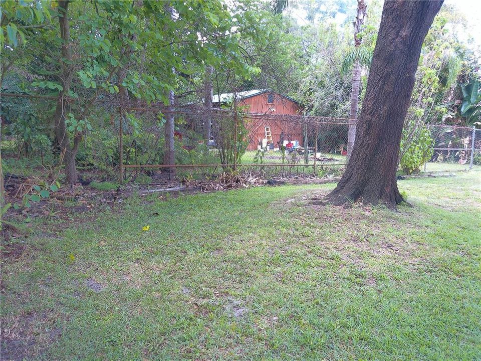 Side Yard/Barn exterior/Workshop/Apartment/Mother-in-Law Suite (before clean up)