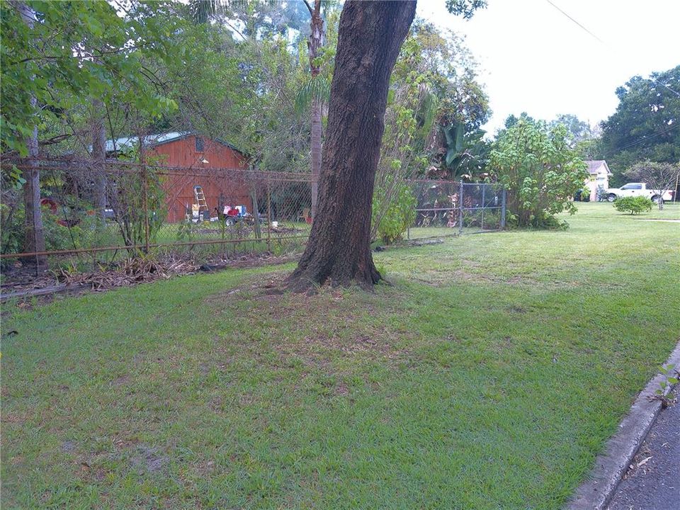 Side Yard/Barn exterior/Workshop/Apartment/Mother-in-Law Suite (before clean up)