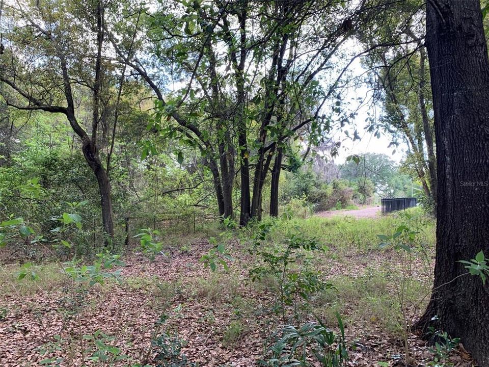 En Venta: $750,000 (1.17 acres)