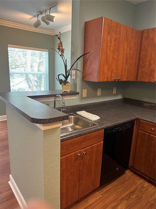 For Rent: $1,500 (1 beds, 1 baths, 667 Square Feet)