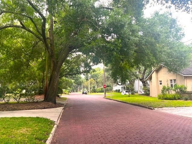 Perfect treeline brick paved street leading to Lake Davis