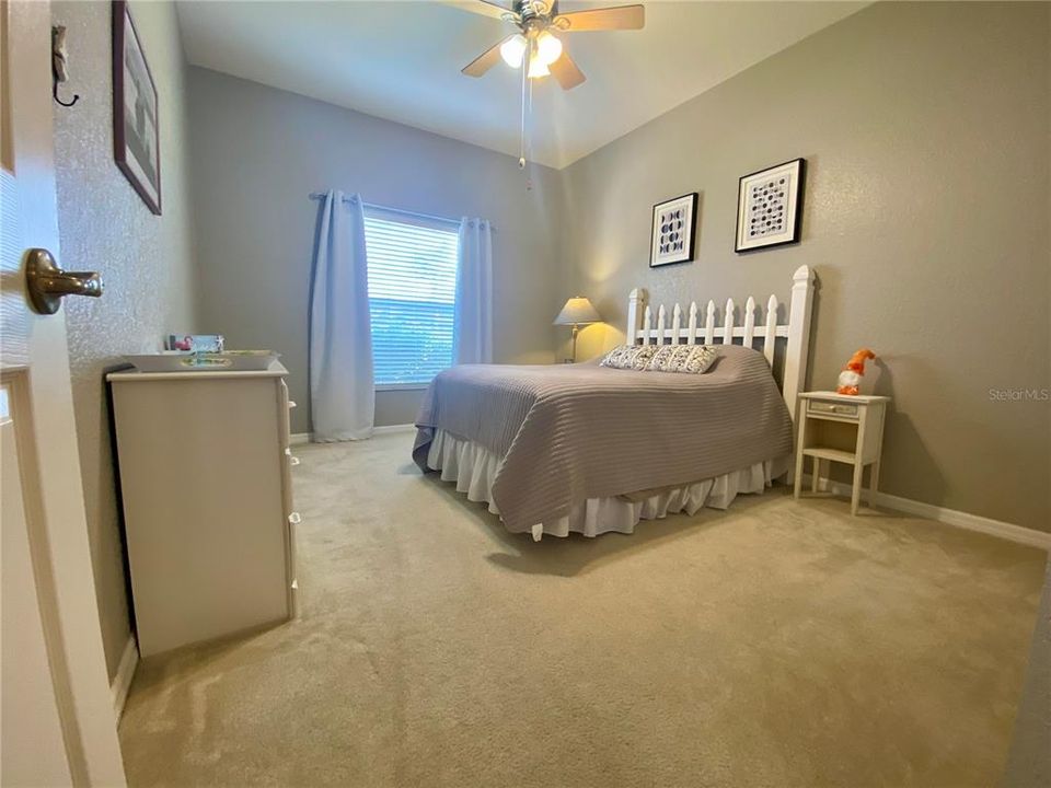 lLush carpet in guest bedroom