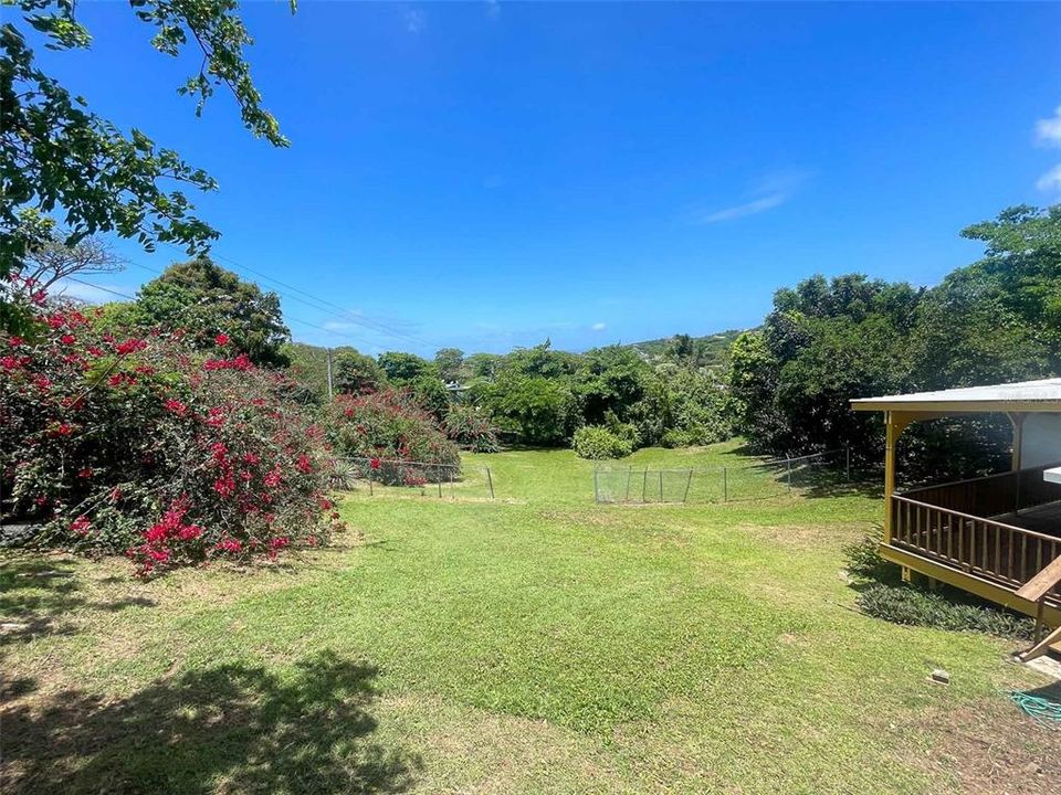 Expansive Yard, Fenced