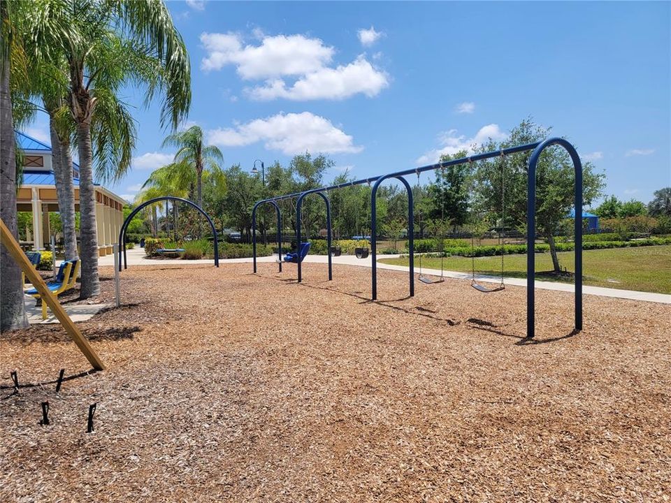 Community Playground Swings