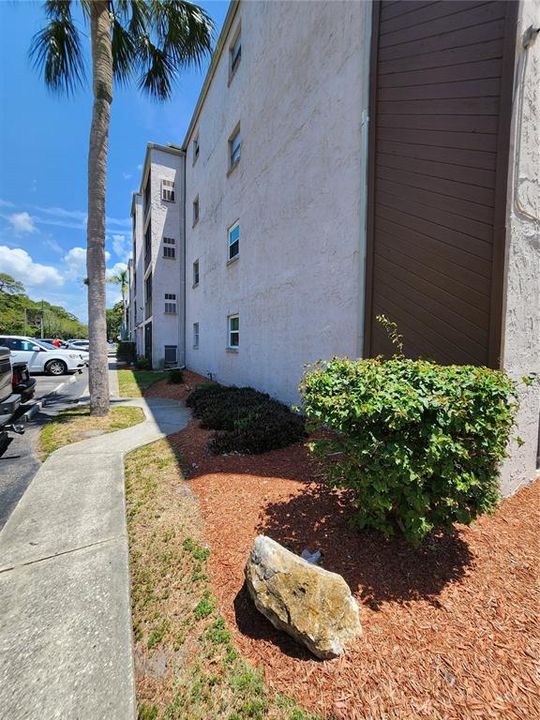 Side view from the pool area to the back entrance where the Main Entry door is which requires a code to enter.  Mailbox there too