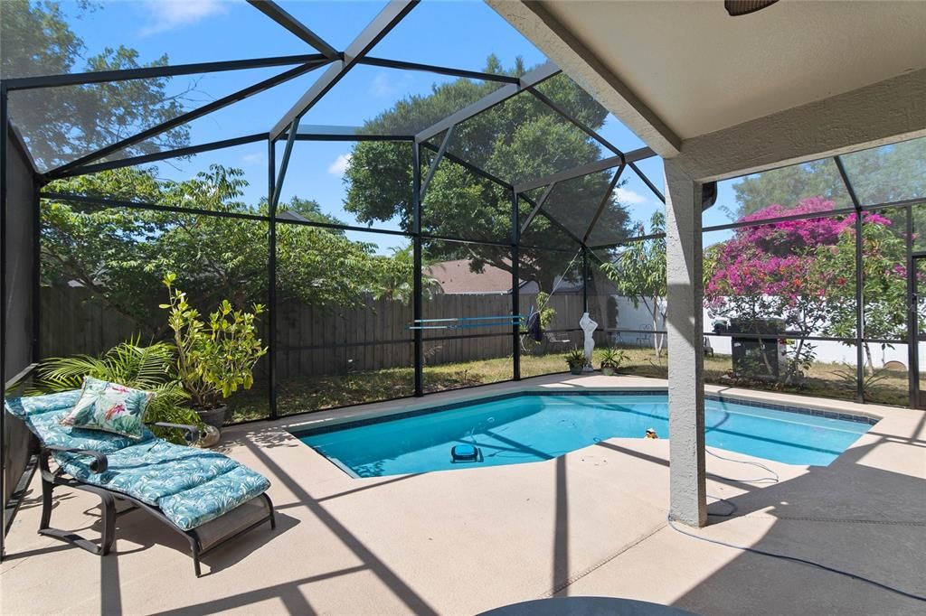 Pool enclosure new