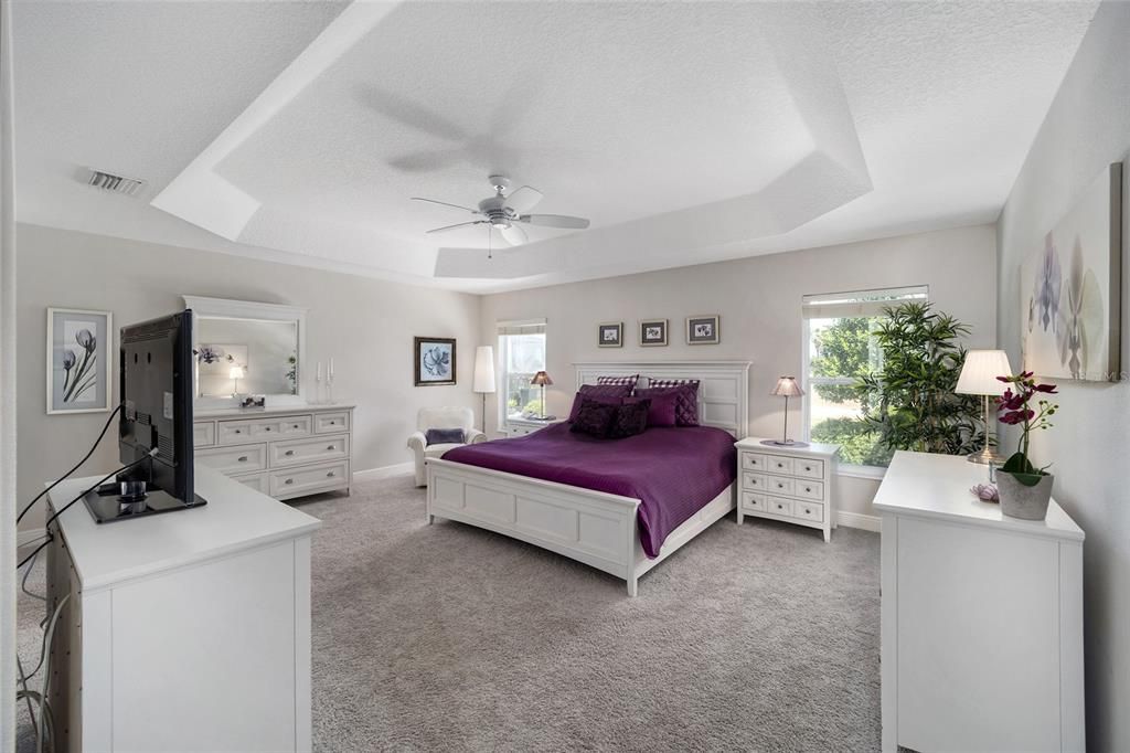 Primary Bedroom with Tray Ceiling