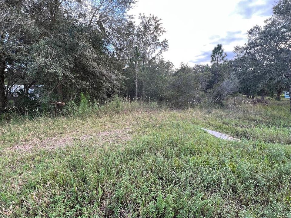 En Venta: $85,000 (1.19 acres)