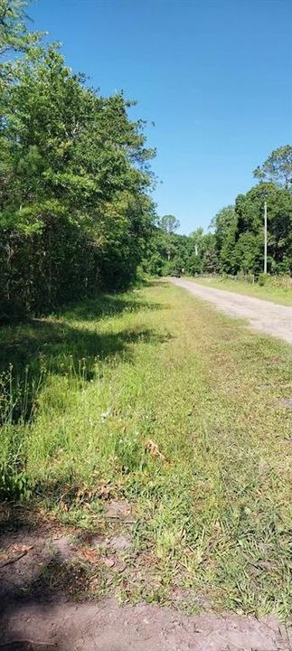 For Sale: $26,500 (1.14 acres)