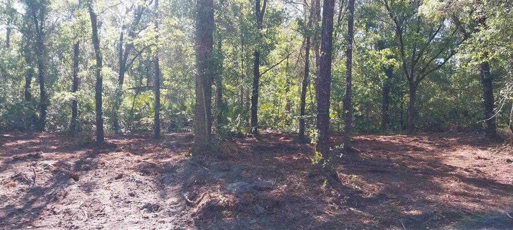 Active With Contract: $26,500 (1.14 acres)