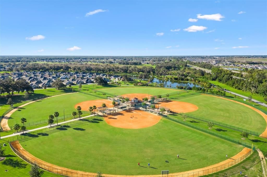 Everglades Softball