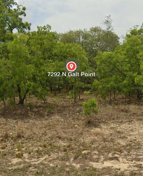 For Sale: $20,000 (0.23 acres)