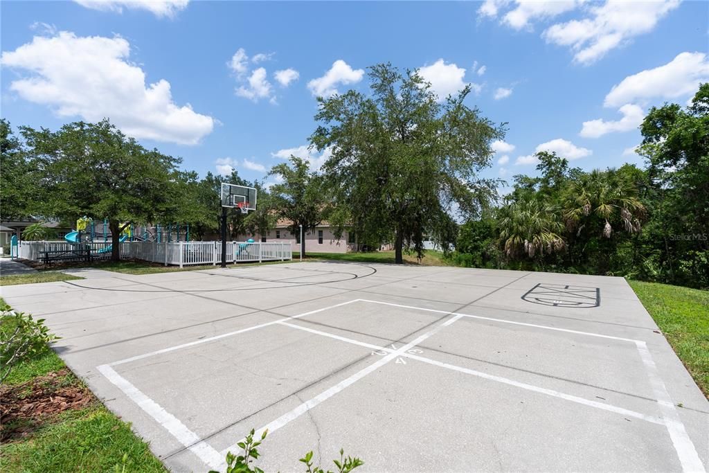 Community Basketball Half-court