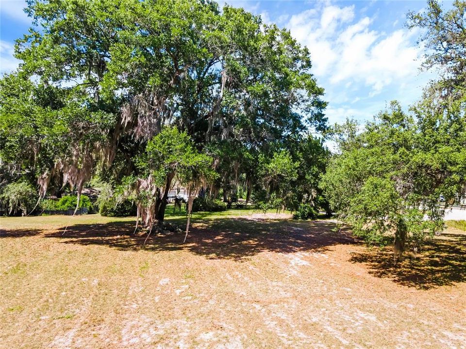 For Sale: $260,000 (1.13 acres)
