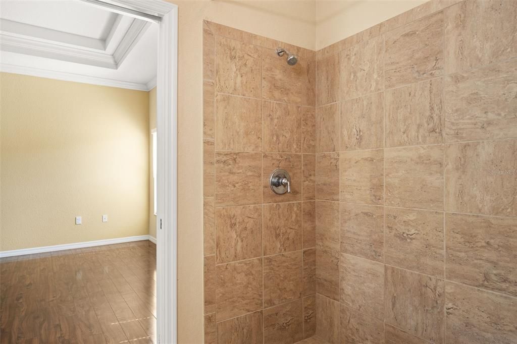 Primary Bathroom - Walk-in Shower
