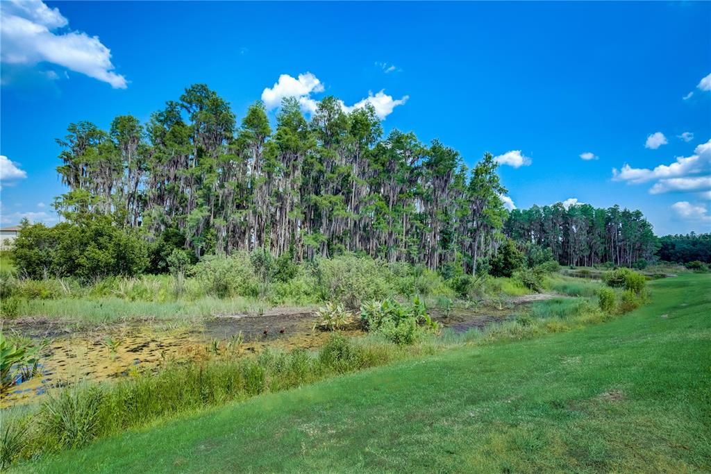 Active With Contract: $850,000 (4 beds, 4 baths, 3091 Square Feet)