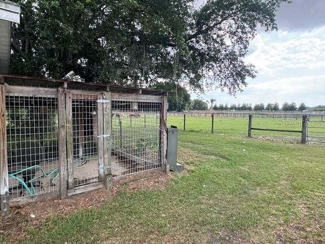 Dog Pens or Chicken Coop