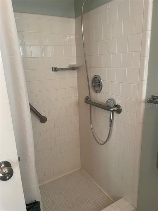 Walk-In Shower