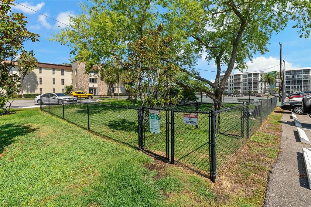 Dog park with tennis courts behind