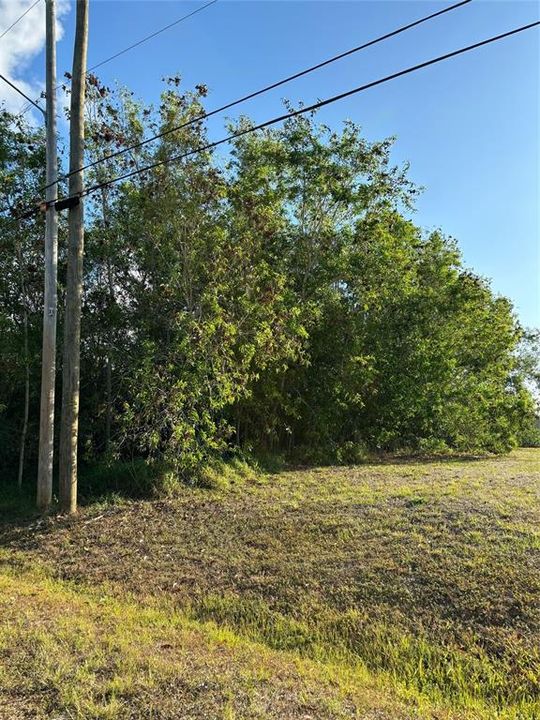 Active With Contract: $120,000 (0.23 acres)