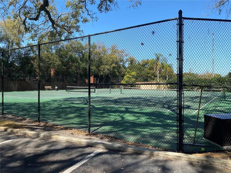 Lighted Courts