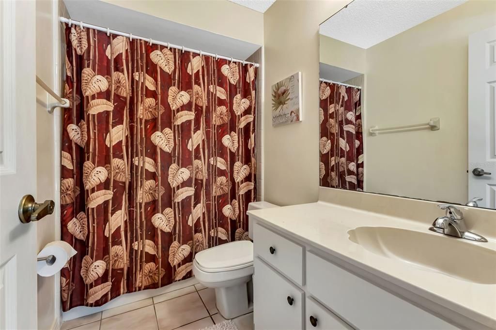 Guest bath. Tub/shower combo.