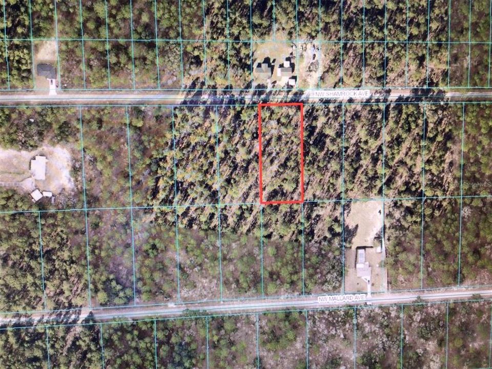 Active With Contract: $25,000 (1.03 acres)