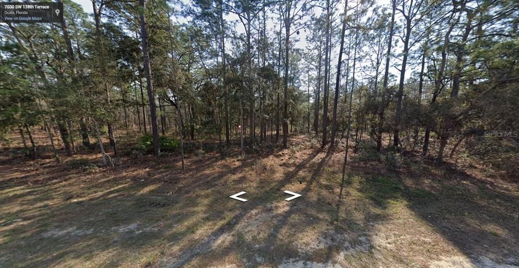 Recently Sold: $49,999 (1.16 acres)