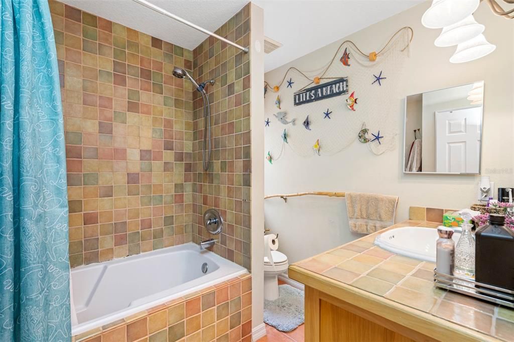 APT 1 - hall bathroom tub with shower