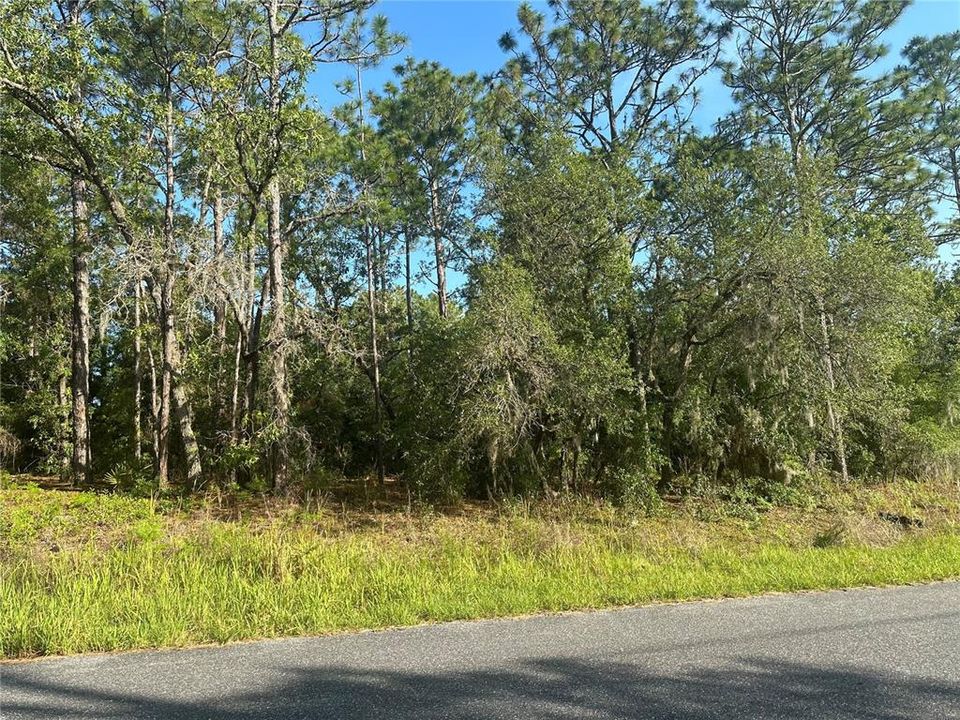 Active With Contract: $20,000 (0.23 acres)