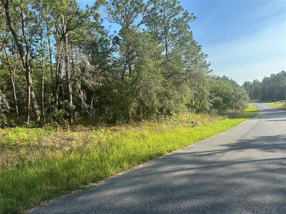 Недавно продано: $20,000 (0.23 acres)