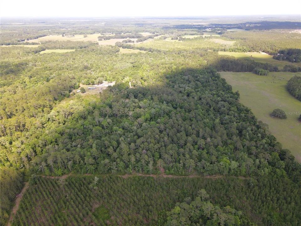 For Sale: $120,000 (10.00 acres)
